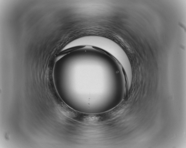 X0000096480217200802071927