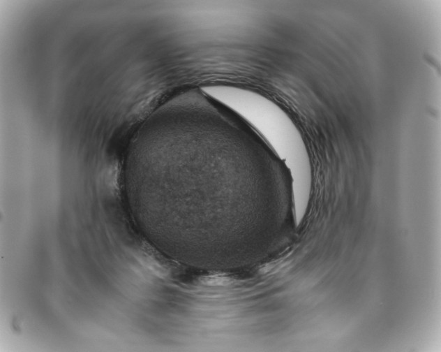 X0000096480219200802071927