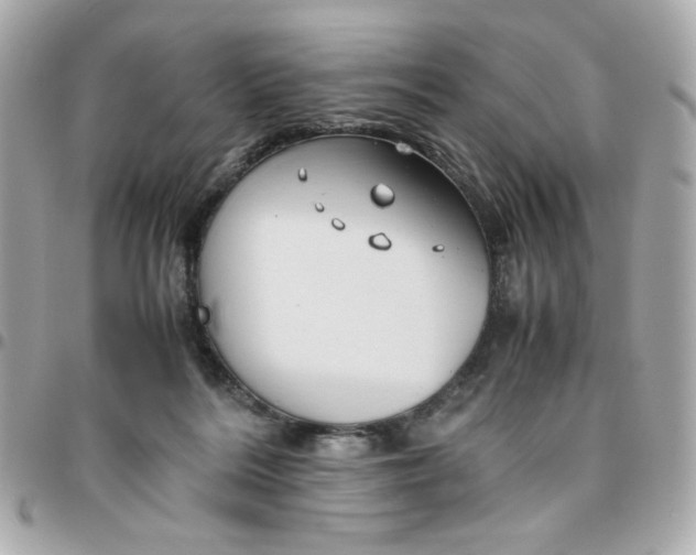 X0000096480220200802071927