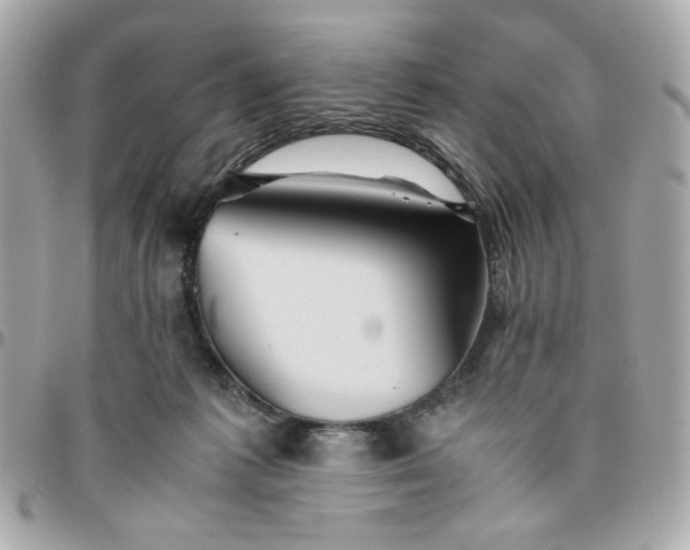 X0000096480221200802071927