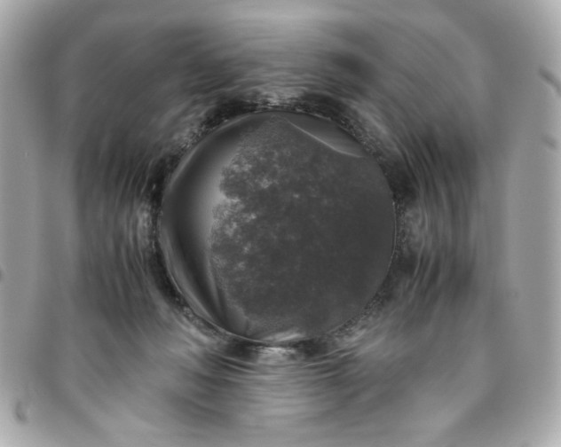 X0000096480222200802071927