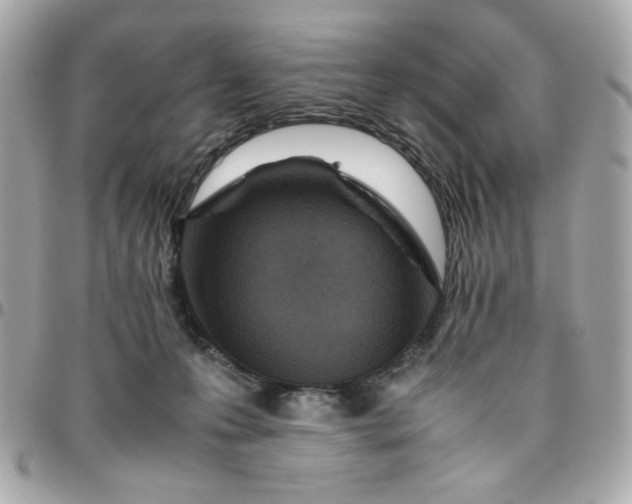 X0000096480223200802071927