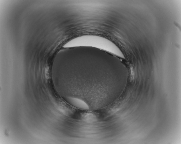 X0000096480224200802071927