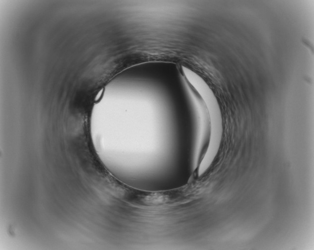 X0000096480225200802071927