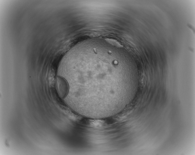 X0000096480226200802071927