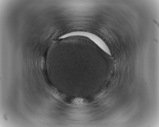 X0000096480227200802071927