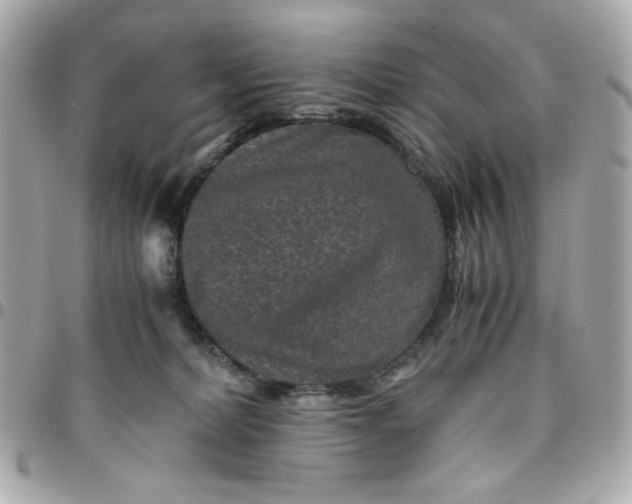 X0000096480228200802071927