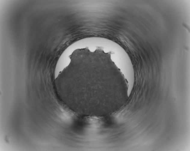 X0000096480229200802071927