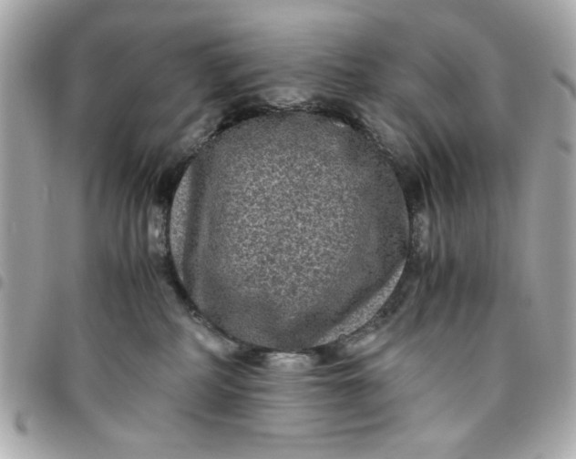 X0000096480234200802071927