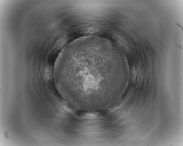 X0000096480236200802071927