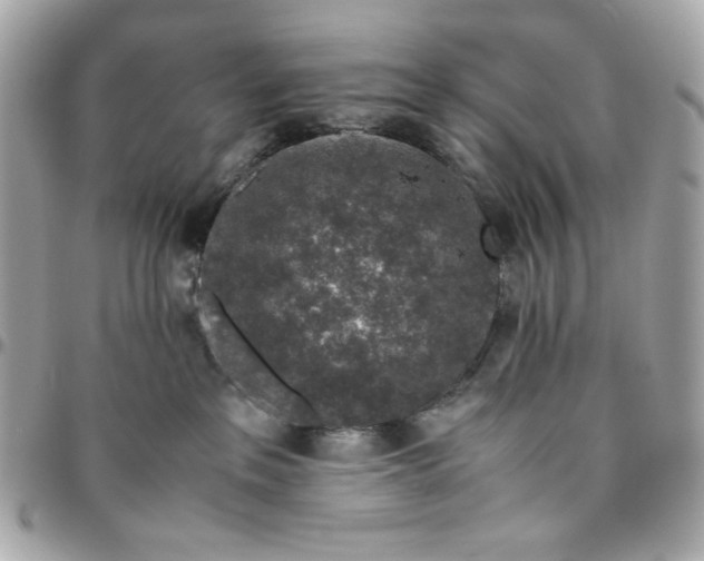 X0000096480237200802071927