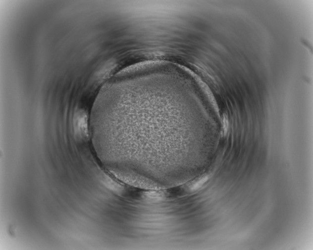 X0000096480238200802071927