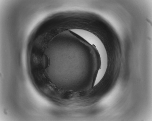 X0000096480239200802071927