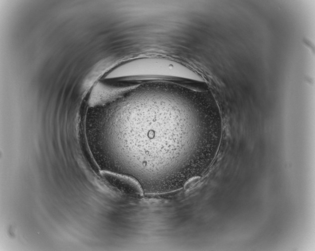 X0000096480242200802071926