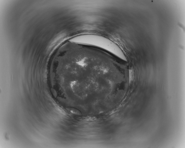 X0000096480243200802071926