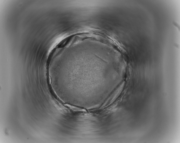 X0000096480244200802071926