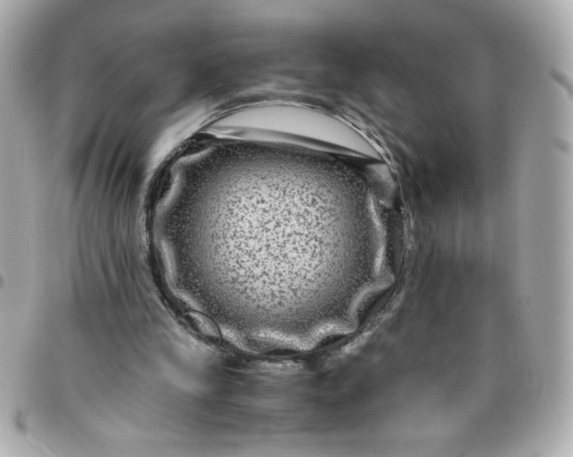 X0000096480245200802071926