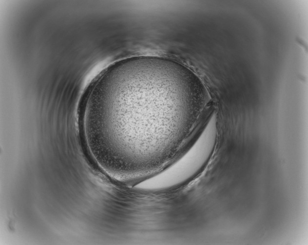 X0000096480246200802071926