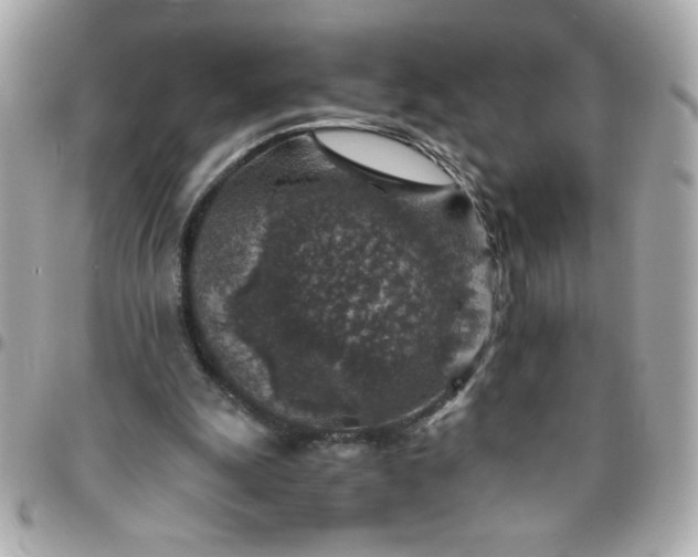 X0000096480247200802071926