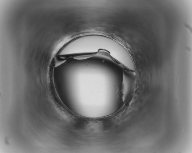 X0000096480248200802071926