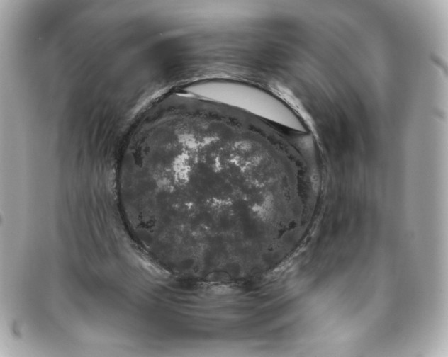 X0000096480249200802071926