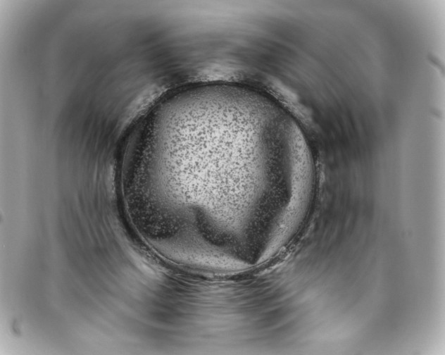 X0000096480250200802071926