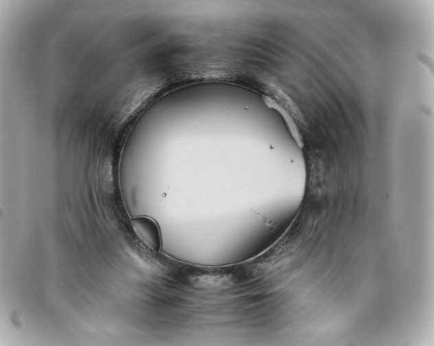 X0000096480251200802071926