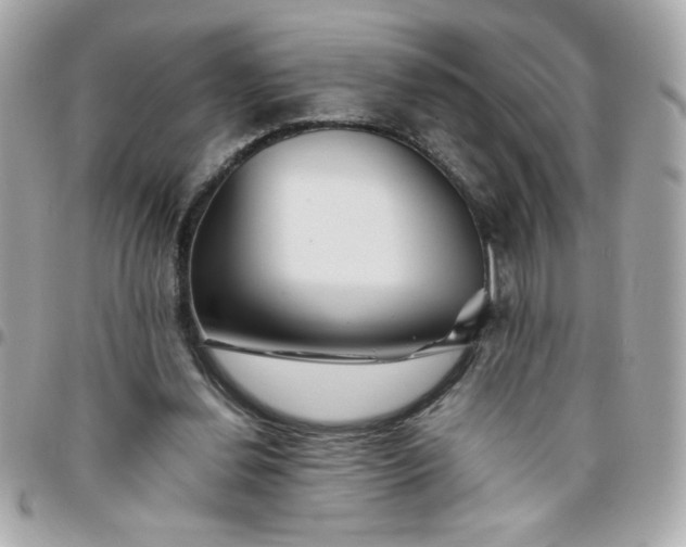 X0000096480252200802071926