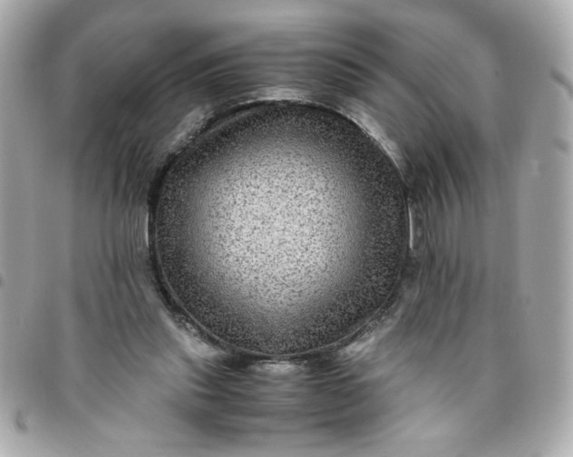 X0000096480253200802071926