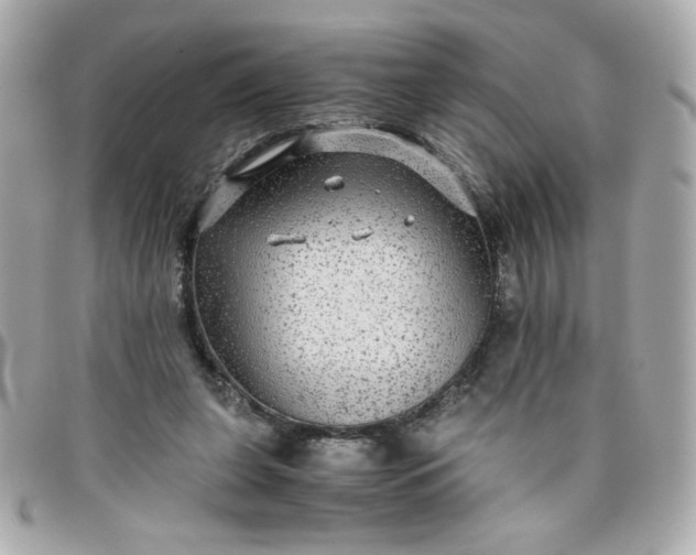 X0000096480255200802071926