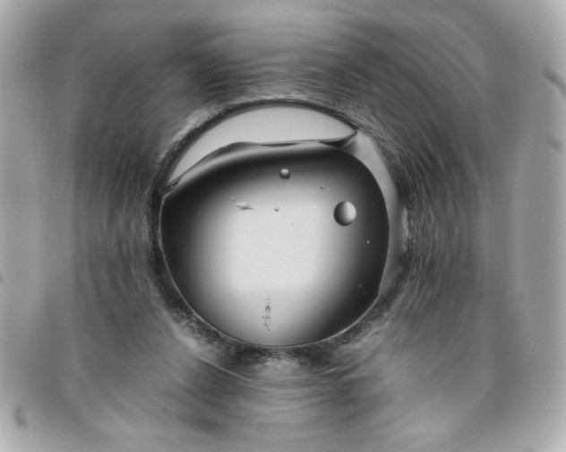 X0000096480256200802071926