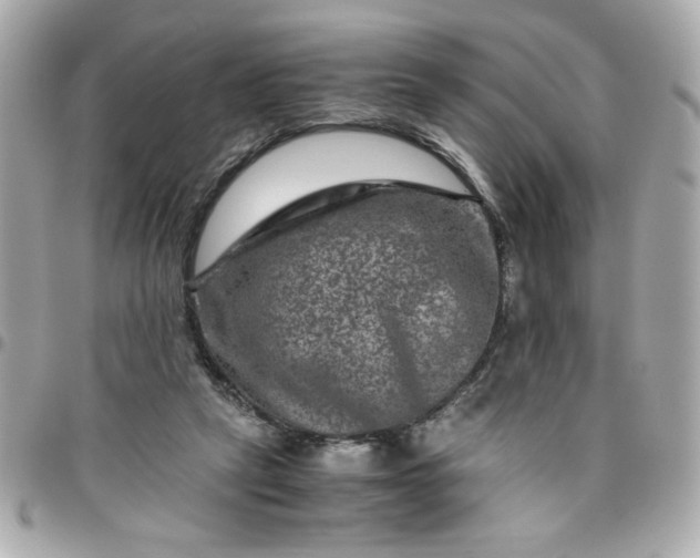 X0000096480257200802071926