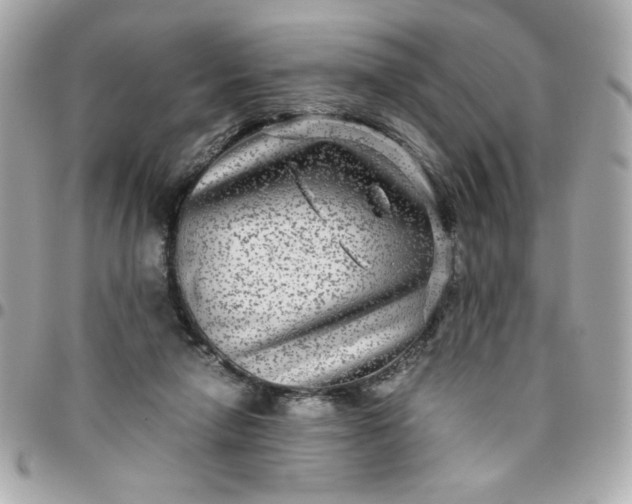 X0000096480258200802071926