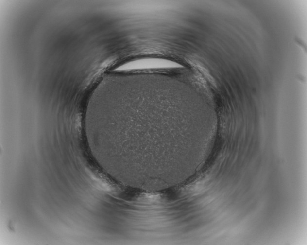 X0000096480260200802071926