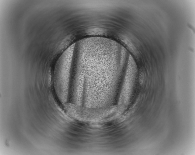 X0000096480261200802071926