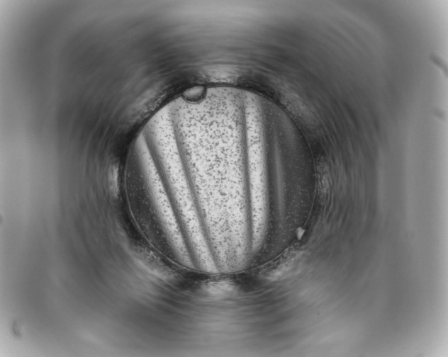 X0000096480262200802071926