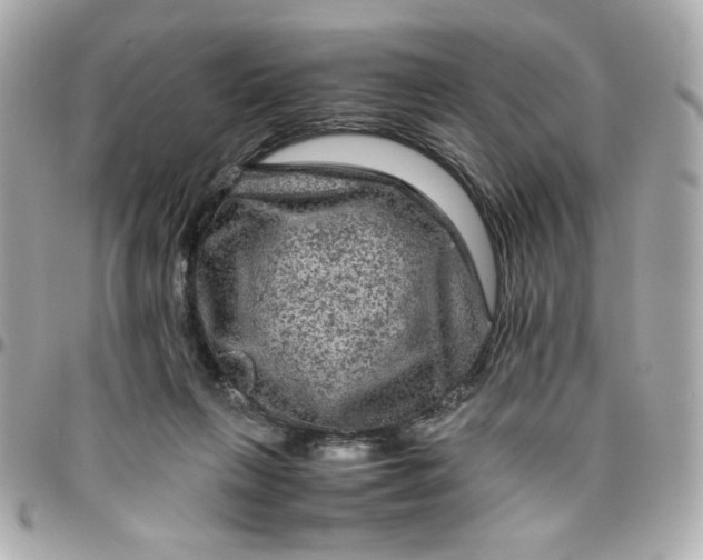 X0000096480263200802071926