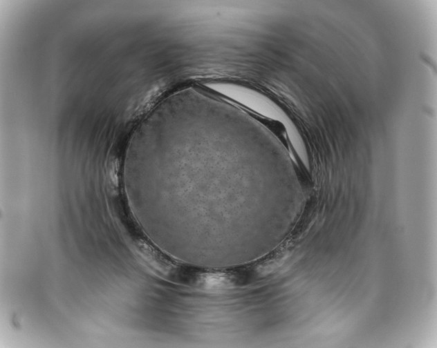 X0000096480264200802071926