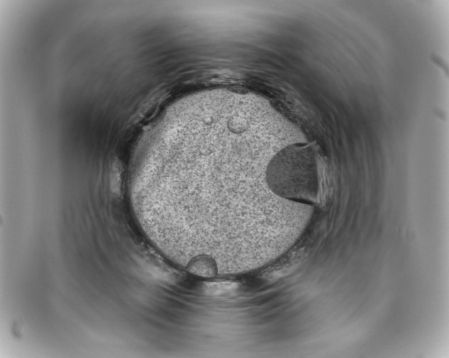 X0000096480266200802071926