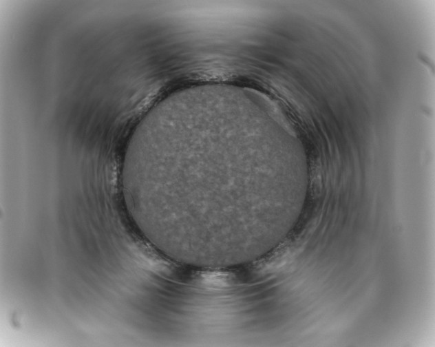 X0000096480268200802071926