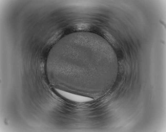 X0000096480269200802071926