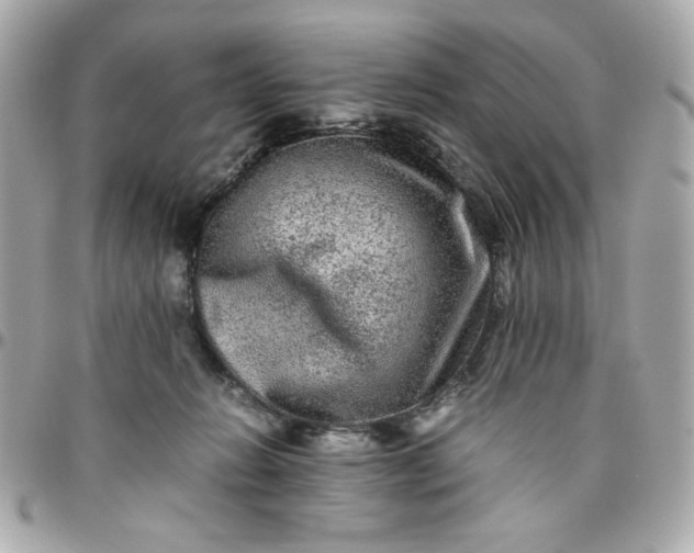 X0000096480270200802071926