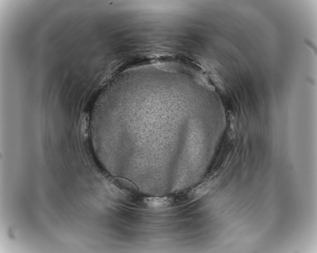 X0000096480273200802071926