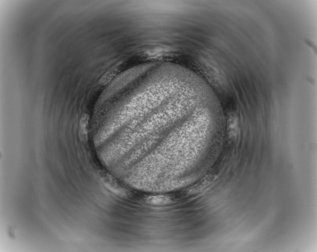 X0000096480275200802071926