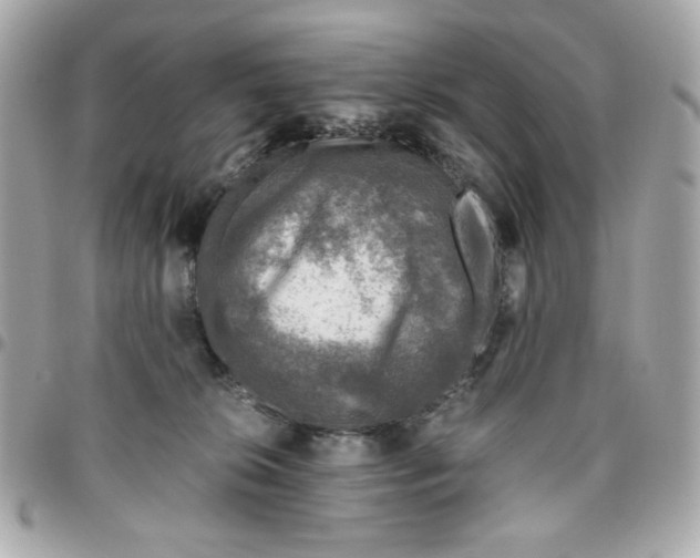 X0000096480276200802071926