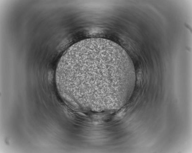 X0000096480278200802071926