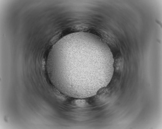 X0000096480279200802071926