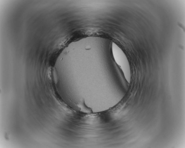 X0000096480280200802071926