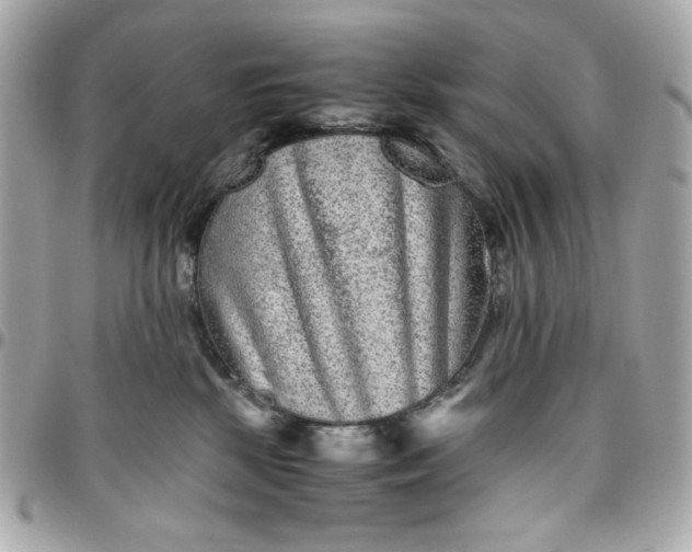 X0000096480281200802071927