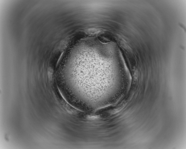 X0000096480283200802071927